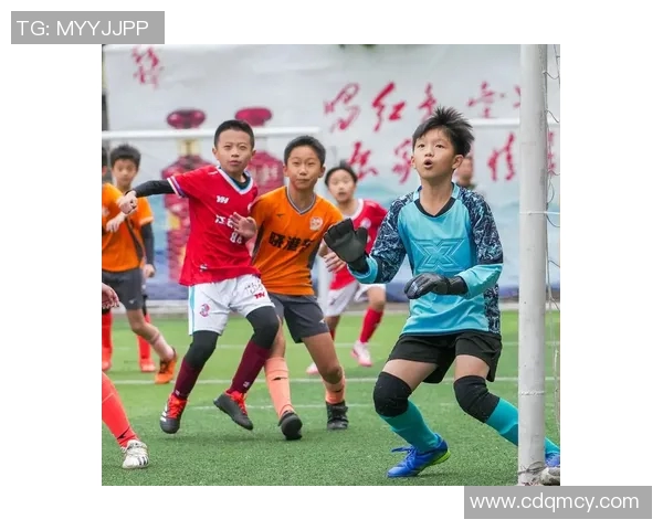 校园足球明星牌照图片展示与解读助力青少年足球发展新风潮