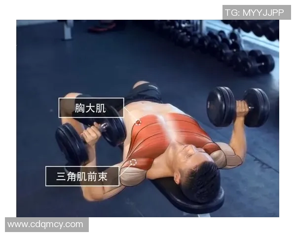 提升力量与健康的哑铃健身软件助你塑造完美身材与科学训练计划